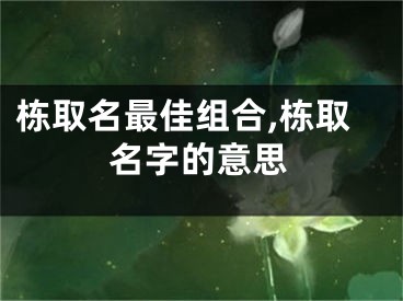 栋取名最佳组合,栋取名字的意思