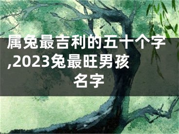 属兔最吉利的五十个字,2023兔最旺男孩名字