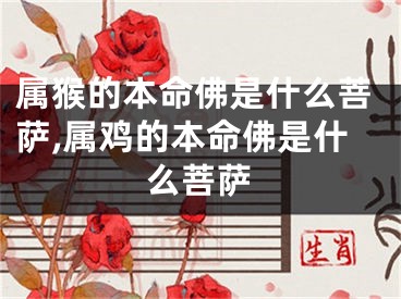 属猴的本命佛是什么菩萨,属鸡的本命佛是什么菩萨