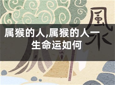 属猴的人,属猴的人一生命运如何