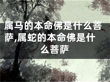 属马的本命佛是什么菩萨,属蛇的本命佛是什么菩萨