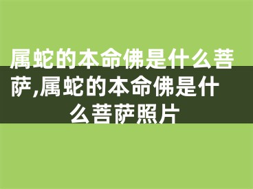 属蛇的本命佛是什么菩萨,属蛇的本命佛是什么菩萨照片