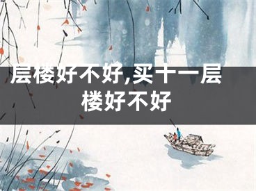 层楼好不好,买十一层楼好不好