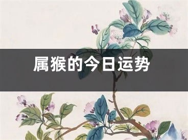 属猴的今日运势