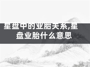 星盘中的业胎关系,星盘业胎什么意思