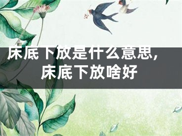 床底下放是什么意思,床底下放啥好