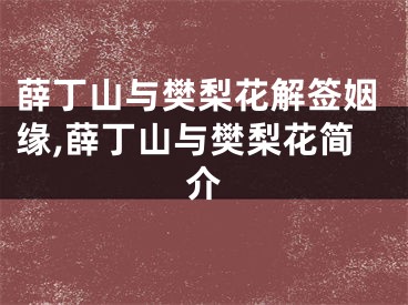 薛丁山与樊梨花解签姻缘,薛丁山与樊梨花简介