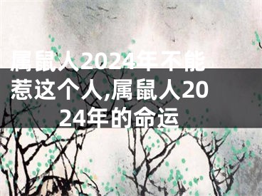 属鼠人2024年不能惹这个人,属鼠人2024年的命运