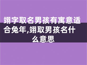 翊字取名男孩有寓意适合兔年,翊取男孩名什么意思