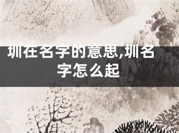 圳在名字的意思,圳名字怎么起