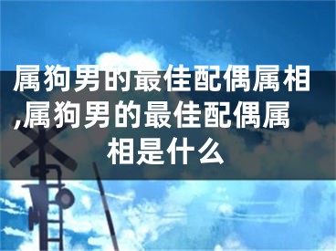 属狗男的最佳配偶属相,属狗男的最佳配偶属相是什么