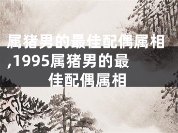 属猪男的最佳配偶属相,1995属猪男的最佳配偶属相