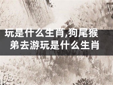 玩是什么生肖,狗尾猴弟去游玩是什么生肖