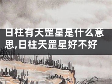 日柱有天罡星是什么意思,日柱天罡星好不好