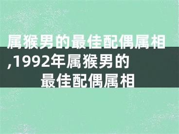 属猴男的最佳配偶属相,1992年属猴男的最佳配偶属相