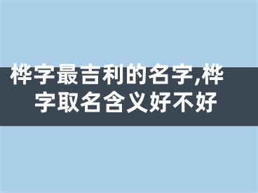 桦字最吉利的名字,桦字取名含义好不好