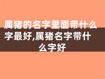 属猪的名字里面带什么字最好,属猪名字带什么字好