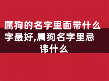 属狗的名字里面带什么字最好,属狗名字里忌讳什么
