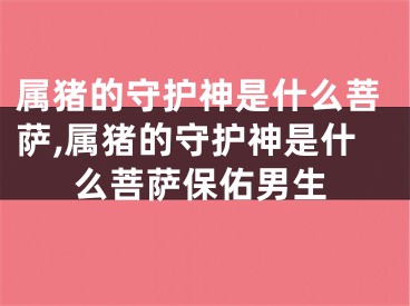 属猪的守护神是什么菩萨,属猪的守护神是什么菩萨保佑男生