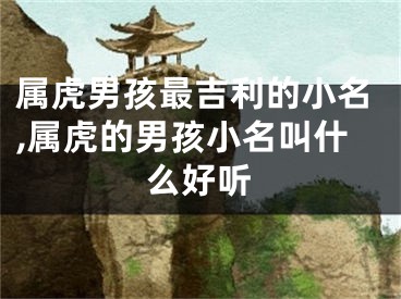 属虎男孩最吉利的小名,属虎的男孩小名叫什么好听