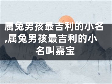 属兔男孩最吉利的小名,属兔男孩最吉利的小名叫嘉宝
