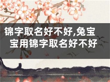 锦字取名好不好,兔宝宝用锦字取名好不好