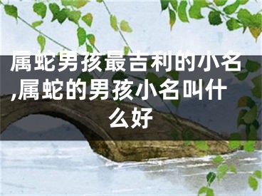 属蛇男孩最吉利的小名,属蛇的男孩小名叫什么好