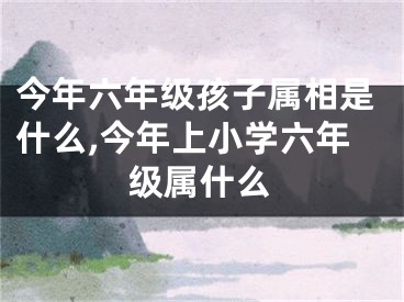 今年六年级孩子属相是什么,今年上小学六年级属什么