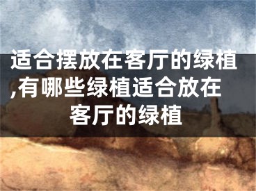 适合摆放在客厅的绿植,有哪些绿植适合放在客厅的绿植