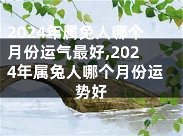 2024年属兔人哪个月份运气最好,2024年属兔人哪个月份运势好