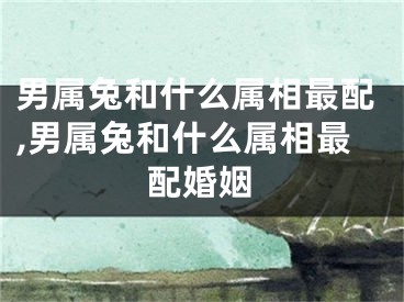 男属兔和什么属相最配,男属兔和什么属相最配婚姻