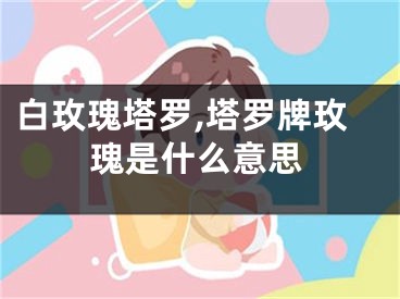 白玫瑰塔罗,塔罗牌玫瑰是什么意思