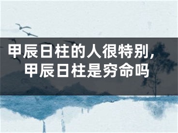 甲辰日柱的人很特别,甲辰日柱是穷命吗