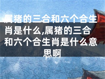 属猪的三合和六个合生肖是什么,属猪的三合和六个合生肖是什么意思啊