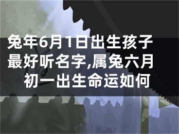 兔年6月1日出生孩子最好听名字,属兔六月初一出生命运如何
