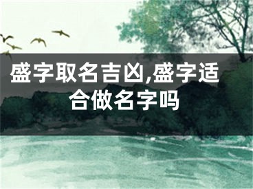 盛字取名吉凶,盛字适合做名字吗