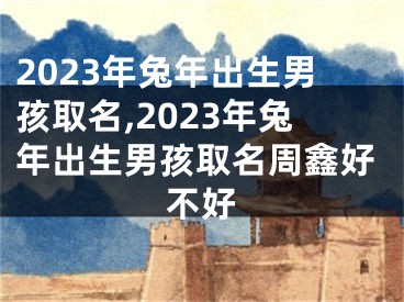 2023年兔年出生男孩取名,2023年兔年出生男孩取名周鑫好不好