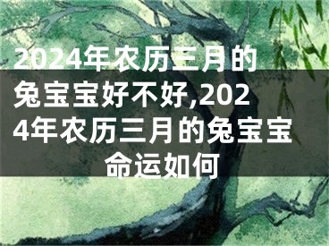2024年农历三月的兔宝宝好不好,2024年农历三月的兔宝宝命运如何