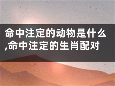 命中注定的动物是什么,命中注定的生肖配对