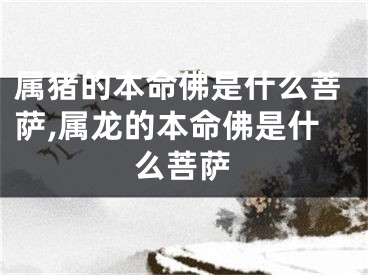 属猪的本命佛是什么菩萨,属龙的本命佛是什么菩萨
