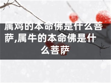 属鸡的本命佛是什么菩萨,属牛的本命佛是什么菩萨