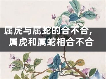 属虎与属蛇的合不合,属虎和属蛇相合不合