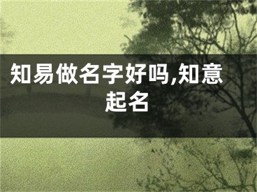 知易做名字好吗,知意起名