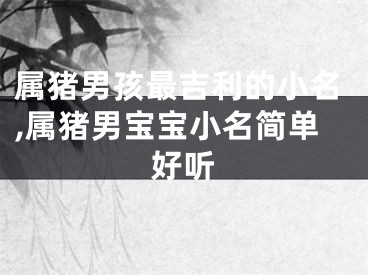 属猪男孩最吉利的小名,属猪男宝宝小名简单好听