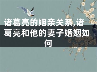 诸葛亮的姻亲关系,诸葛亮和他的妻子婚姻如何