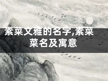 素菜文雅的名字,素菜菜名及寓意