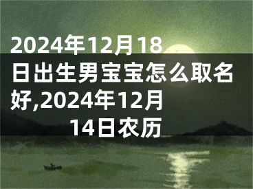 2024年12月18日出生男宝宝怎么取名好,2024年12月14日农历