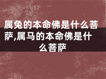 属兔的本命佛是什么菩萨,属马的本命佛是什么菩萨