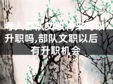 考入部队文职将来可以升职吗,部队文职以后有升职机会
