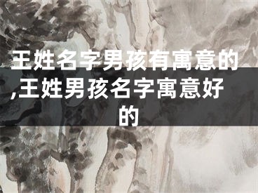 王姓名字男孩有寓意的,王姓男孩名字寓意好的